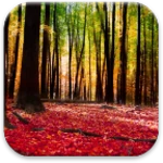 autumn landscape live wallpaper android application logo